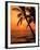 A Couple in Silhouette, Enjoying a Romantic Sunset Beneath the Palm Trees in Kailua-Kona, Hawaii-Ann Cecil-Framed Photographic Print