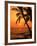 A Couple in Silhouette, Enjoying a Romantic Sunset Beneath the Palm Trees in Kailua-Kona, Hawaii-Ann Cecil-Framed Photographic Print