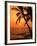 A Couple in Silhouette, Enjoying a Romantic Sunset Beneath the Palm Trees in Kailua-Kona, Hawaii-Ann Cecil-Framed Photographic Print