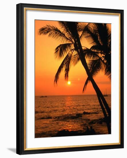 A Couple in Silhouette, Enjoying a Romantic Sunset Beneath the Palm Trees in Kailua-Kona, Hawaii-Ann Cecil-Framed Photographic Print