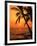 A Couple in Silhouette, Enjoying a Romantic Sunset Beneath the Palm Trees in Kailua-Kona, Hawaii-Ann Cecil-Framed Photographic Print