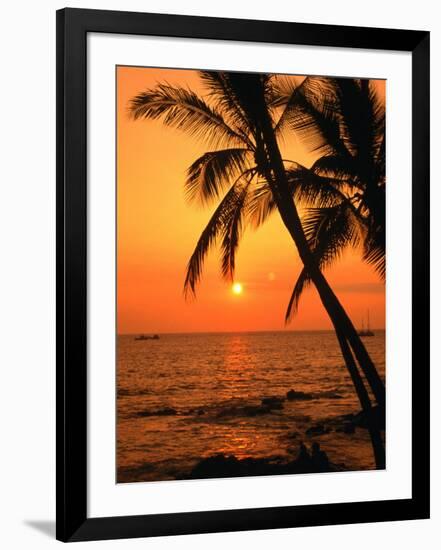 A Couple in Silhouette, Enjoying a Romantic Sunset Beneath the Palm Trees in Kailua-Kona, Hawaii-Ann Cecil-Framed Photographic Print