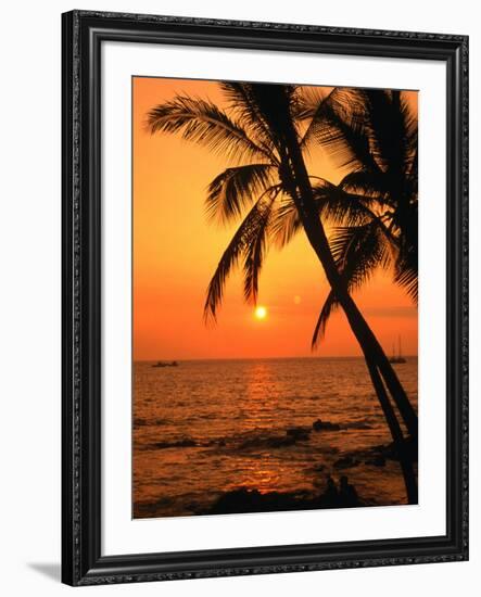 A Couple in Silhouette, Enjoying a Romantic Sunset Beneath the Palm Trees in Kailua-Kona, Hawaii-Ann Cecil-Framed Photographic Print