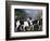 A Couple of Foxhounds-George Stubbs-Framed Giclee Print