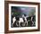 A Couple of Foxhounds-George Stubbs-Framed Giclee Print