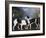 A Couple of Foxhounds-George Stubbs-Framed Giclee Print