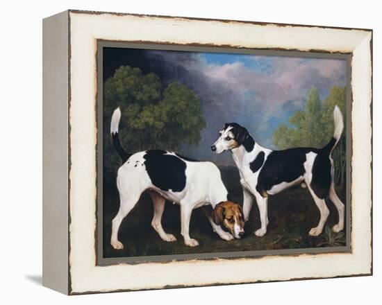 A Couple of Foxhounds-George Stubbs-Framed Premier Image Canvas