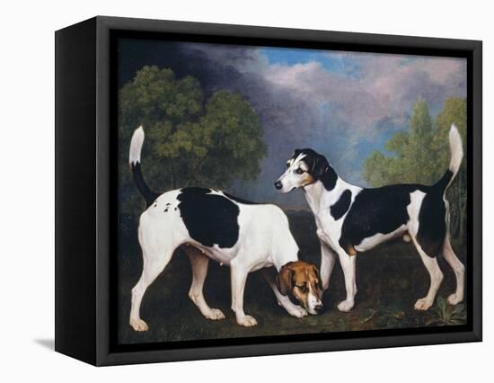 A Couple of Foxhounds-George Stubbs-Framed Premier Image Canvas