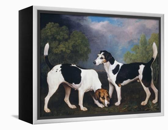 A Couple of Foxhounds-George Stubbs-Framed Premier Image Canvas