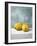 A Couple of Lemons-Mark Chandon-Framed Giclee Print