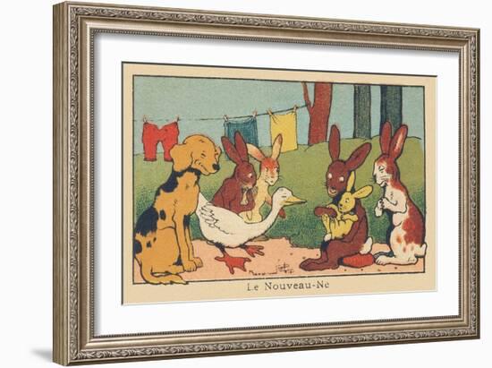 A Couple of Rabbits Introduces their Young Baby to the Other Animals.” the Newborn” ,1936 (Illustra-Benjamin Rabier-Framed Giclee Print