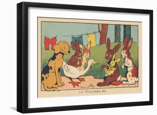 A Couple of Rabbits Introduces their Young Baby to the Other Animals.” the Newborn” ,1936 (Illustra-Benjamin Rabier-Framed Giclee Print