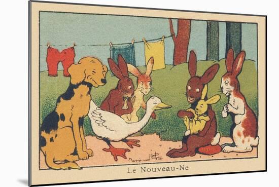 A Couple of Rabbits Introduces their Young Baby to the Other Animals.” the Newborn” ,1936 (Illustra-Benjamin Rabier-Mounted Giclee Print
