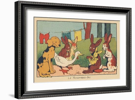 A Couple of Rabbits Introduces their Young Baby to the Other Animals.” the Newborn” ,1936 (Illustra-Benjamin Rabier-Framed Giclee Print
