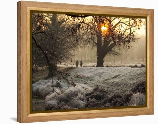 A Couple Walk in the Winter in Richmond Park-Alex Saberi-Framed Premier Image Canvas