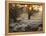 A Couple Walk in the Winter in Richmond Park-Alex Saberi-Framed Premier Image Canvas