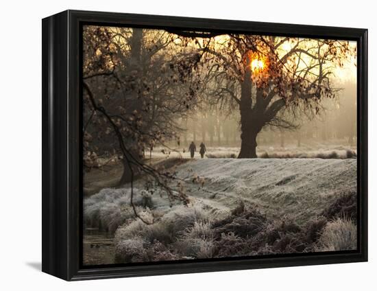 A Couple Walk in the Winter in Richmond Park-Alex Saberi-Framed Premier Image Canvas