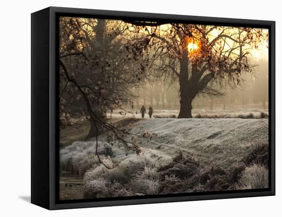 A Couple Walk in the Winter in Richmond Park-Alex Saberi-Framed Premier Image Canvas