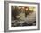 A Couple Walk in the Winter in Richmond Park-Alex Saberi-Framed Photographic Print