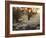 A Couple Walk in the Winter in Richmond Park-Alex Saberi-Framed Photographic Print