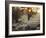 A Couple Walk in the Winter in Richmond Park-Alex Saberi-Framed Photographic Print