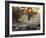 A Couple Walk in the Winter in Richmond Park-Alex Saberi-Framed Photographic Print