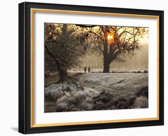 A Couple Walk in the Winter in Richmond Park-Alex Saberi-Framed Photographic Print