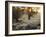 A Couple Walk in the Winter in Richmond Park-Alex Saberi-Framed Photographic Print