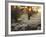 A Couple Walk in the Winter in Richmond Park-Alex Saberi-Framed Photographic Print