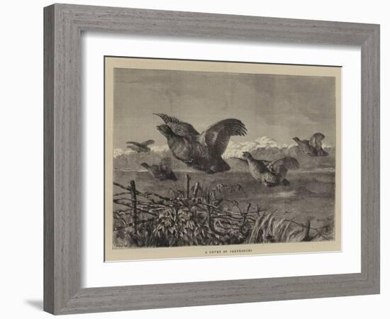 A Covey of Partridges-Harrison William Weir-Framed Giclee Print