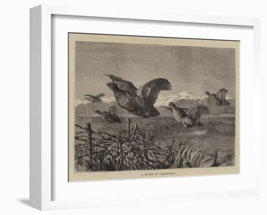 A Covey of Partridges-Harrison William Weir-Framed Giclee Print