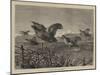 A Covey of Partridges-Harrison William Weir-Mounted Giclee Print
