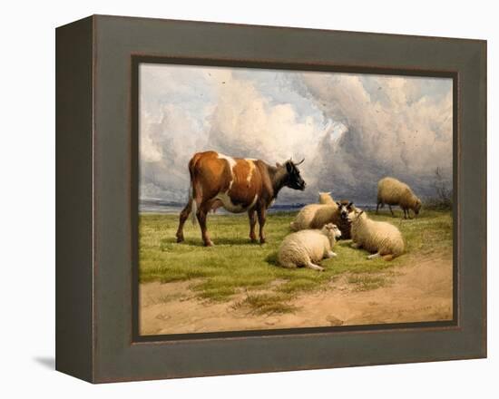 A Cow and Five Sheep, 1887-Thomas Sidney Cooper-Framed Premier Image Canvas