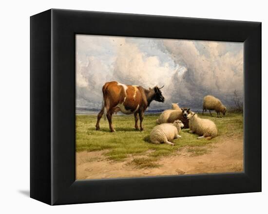 A Cow and Five Sheep, 1887-Thomas Sidney Cooper-Framed Premier Image Canvas
