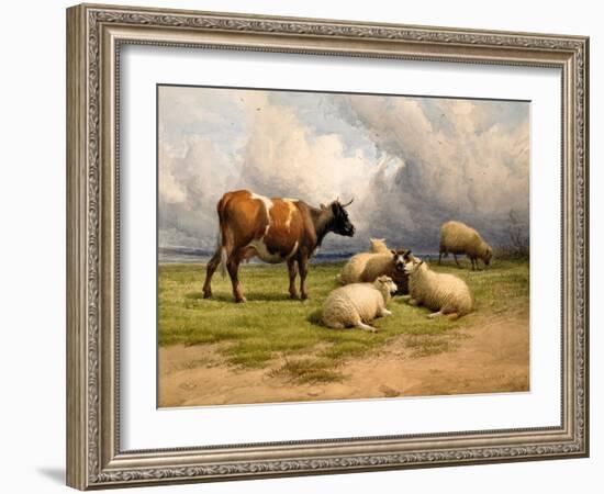 A Cow and Five Sheep, 1887-Thomas Sidney Cooper-Framed Giclee Print