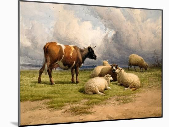 A Cow and Five Sheep, 1887-Thomas Sidney Cooper-Mounted Giclee Print