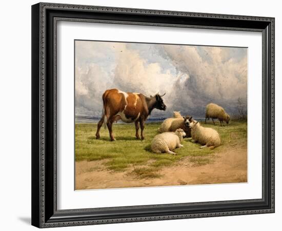 A Cow and Five Sheep, 1887-Thomas Sidney Cooper-Framed Giclee Print