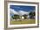 A Cow Grazes in on a Farm in Bonito at Sunset-Alex Saberi-Framed Photographic Print