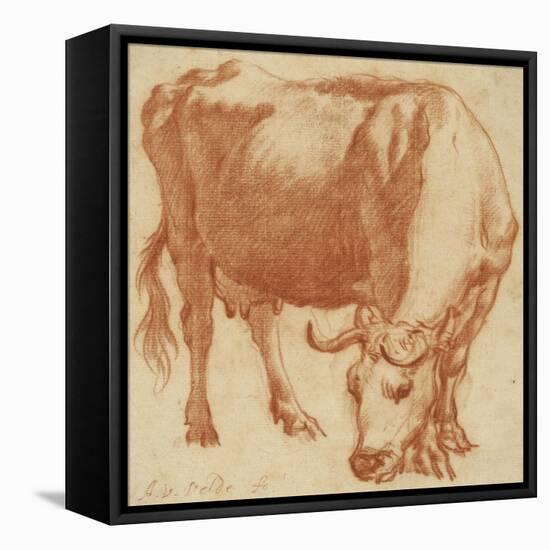 A cow grazing, c.1663-Adriaen van de Velde-Framed Premier Image Canvas