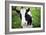 A Cow in a Field-null-Framed Photo