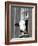 A Cow Peers out of a Barn Window in Sutton, N.H.-null-Framed Photographic Print