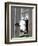 A Cow Peers out of a Barn Window in Sutton, N.H.-null-Framed Photographic Print