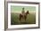 A Cowboy, C.1898-C.1905-null-Framed Giclee Print