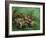 A Crab, Lying on His Back, 1889-Vincent van Gogh-Framed Giclee Print