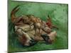 A Crab, Lying on His Back, 1889-Vincent van Gogh-Mounted Giclee Print