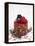 A Cream Tartlet with Berries-Martina Schindler-Framed Premier Image Canvas