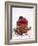 A Cream Tartlet with Berries-Martina Schindler-Framed Photographic Print