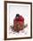 A Cream Tartlet with Berries-Martina Schindler-Framed Photographic Print