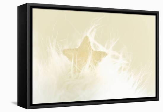 A Cream-White Christmassy Star in a Fleecy Bed-Petra Daisenberger-Framed Premier Image Canvas