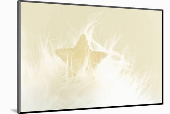 A Cream-White Christmassy Star in a Fleecy Bed-Petra Daisenberger-Mounted Photographic Print